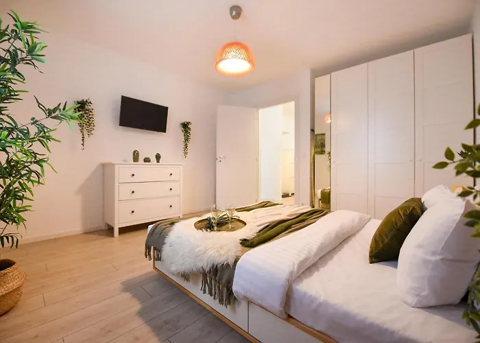 The Comfy Spot - 1 Br-apartment & Parking Included In North Business Area Apartament *