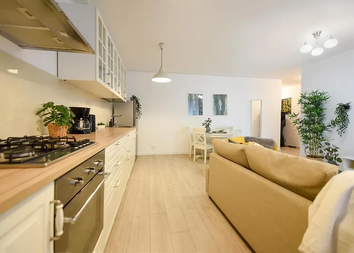 The Comfy Spot - 1 Br-apartment & Parking Included In North Business Area Apartament